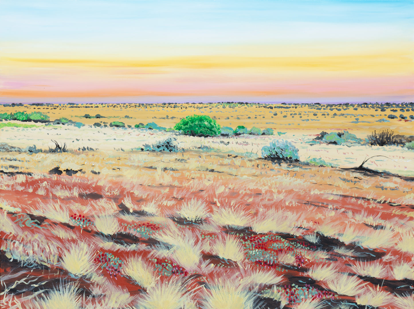 Fine Art Canvas Print - Sturt Desert Pea