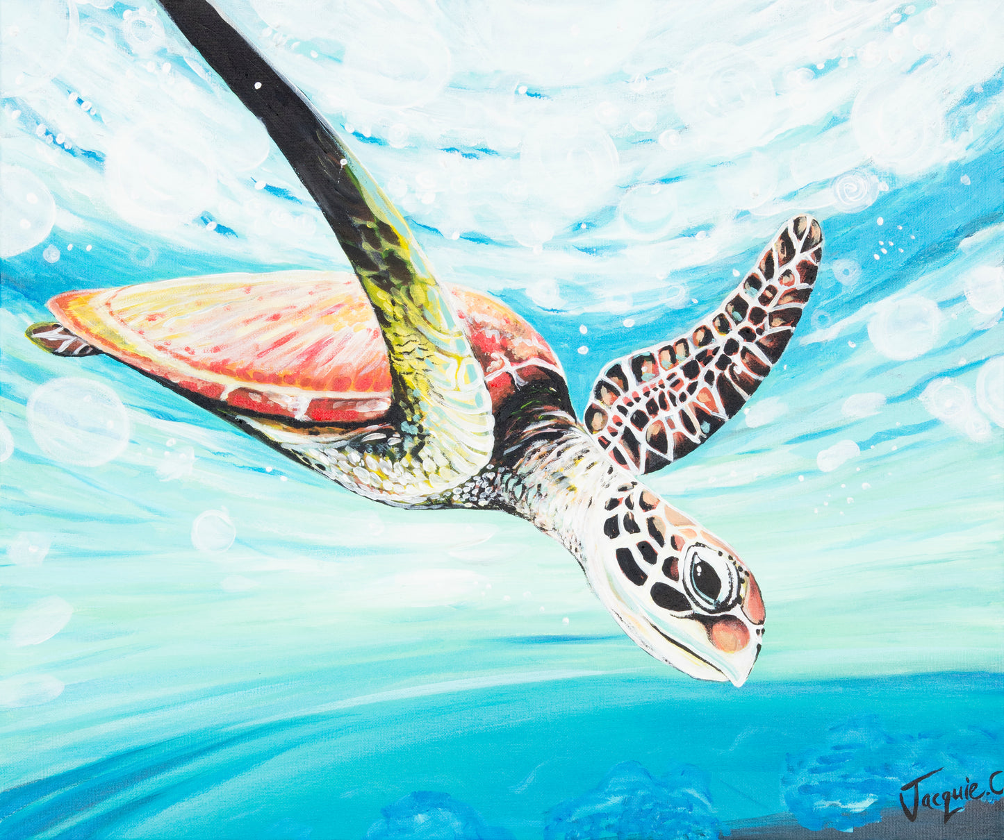 Fine Art Canvas Print - Green Turtle, Sherry