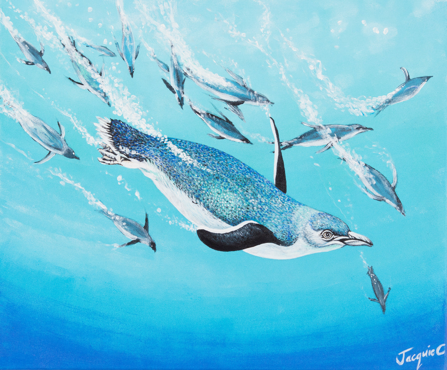 Limited edition Fine Art Canvas Print - Penguin Dive