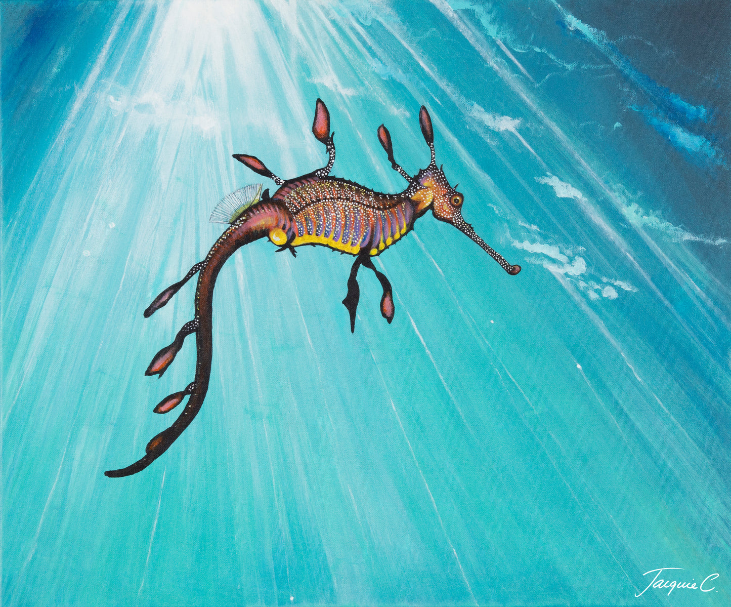 Fine Art Canvas Print - Weedy Seadragon