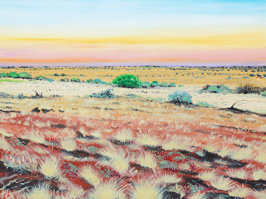 Fine Art Canvas Print - Sturt Desert Pea