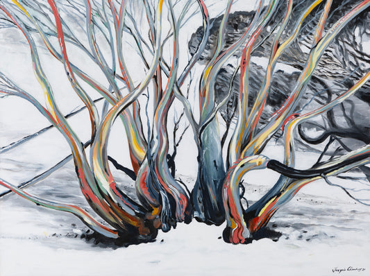 Fine Art Canvas Print - Snow gums