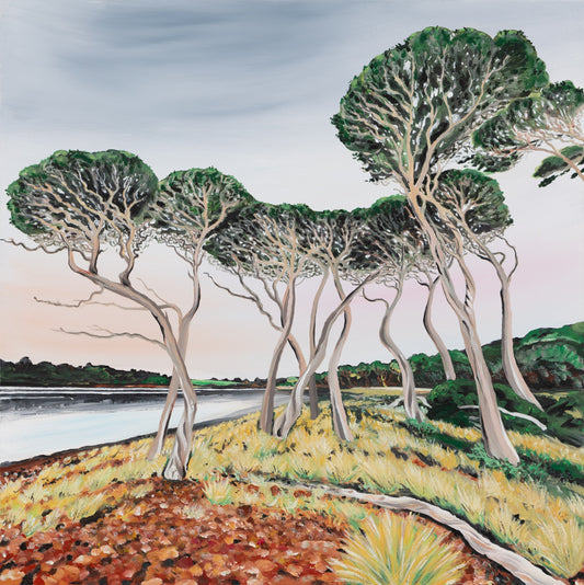 Fine Art Canvas Print - Moonah Lookout