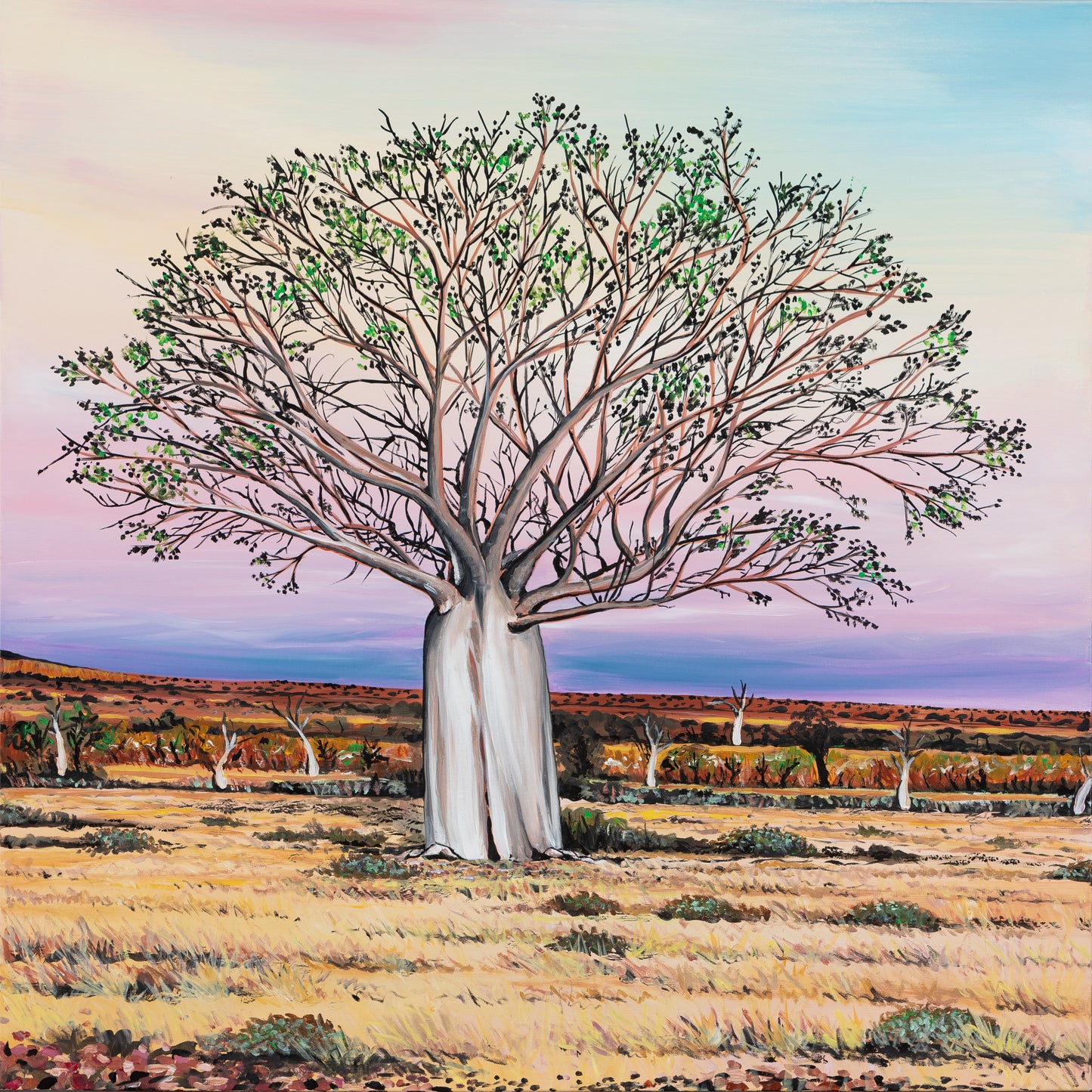 Fine Art Canvas Print- Boab Tree