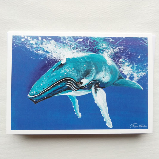 Greeting card - Humpbacks life