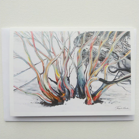 Greeting card - Snow gums