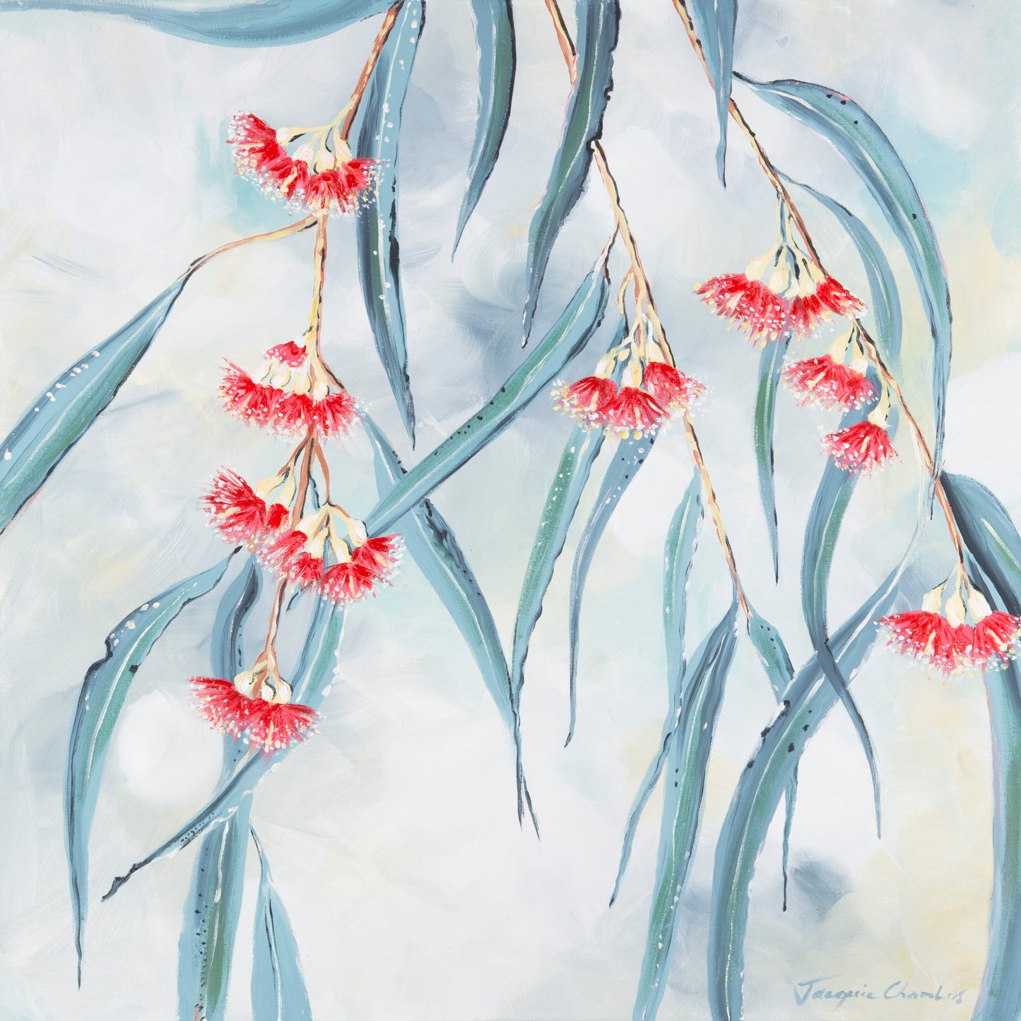 Fine Art Canvas Print - Iron bark Eucalyptus