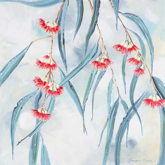 Fine Art Canvas Print - Iron bark Eucalyptus
