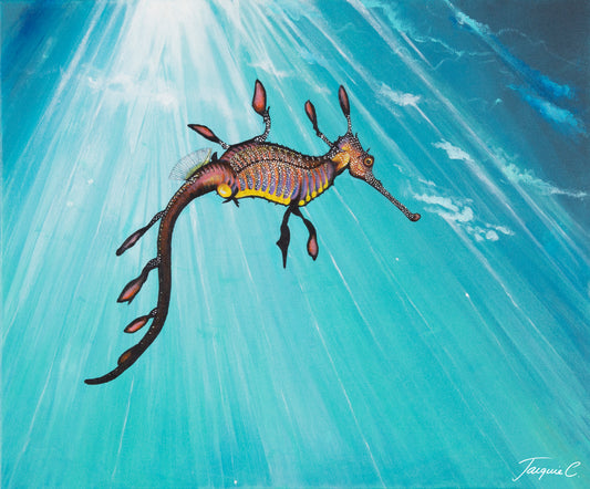 Fine Art Canvas Print - Weedy Seadragon